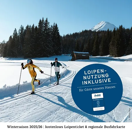 Wolf 3* Leutasch
